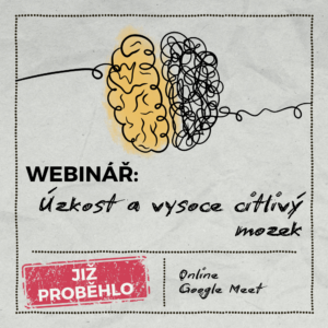 Webinář: Úzkost a vysoce citlivý mozek