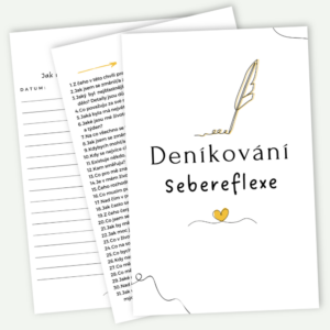 Deníkové otázky: Sebereflexe